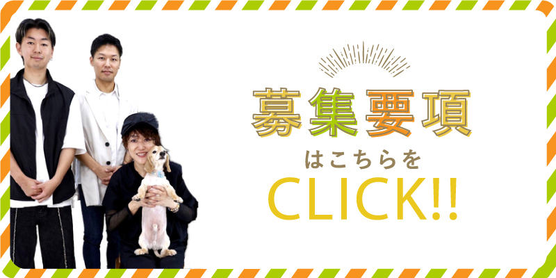 募集要項はこちらをクリック